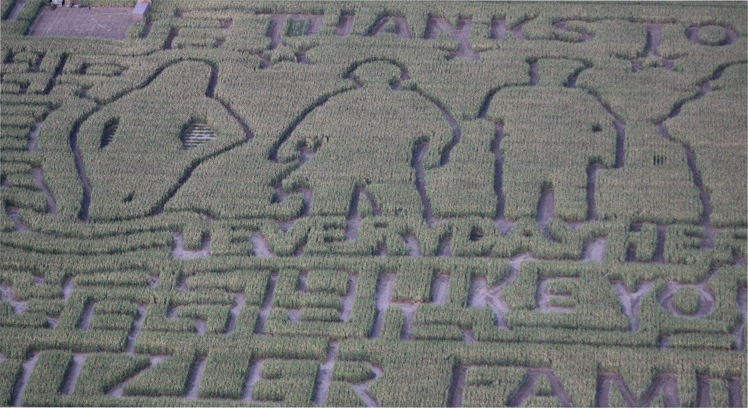The new design that Fritzlers has for their seasonal corn maze.