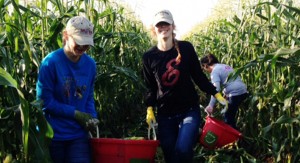 Amy Phillips (15) and Liza Nelson (17) carry a bucket of corn from the field. 