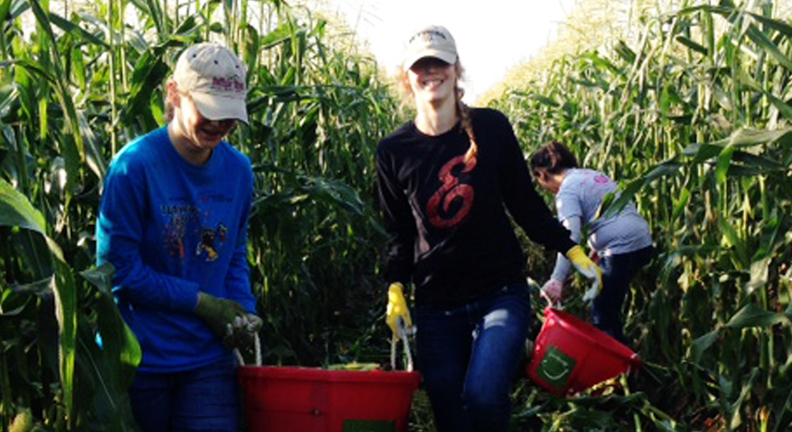 Amy Phillips (15) and Liza Nelson (17) carry a bucket of corn from the field. 