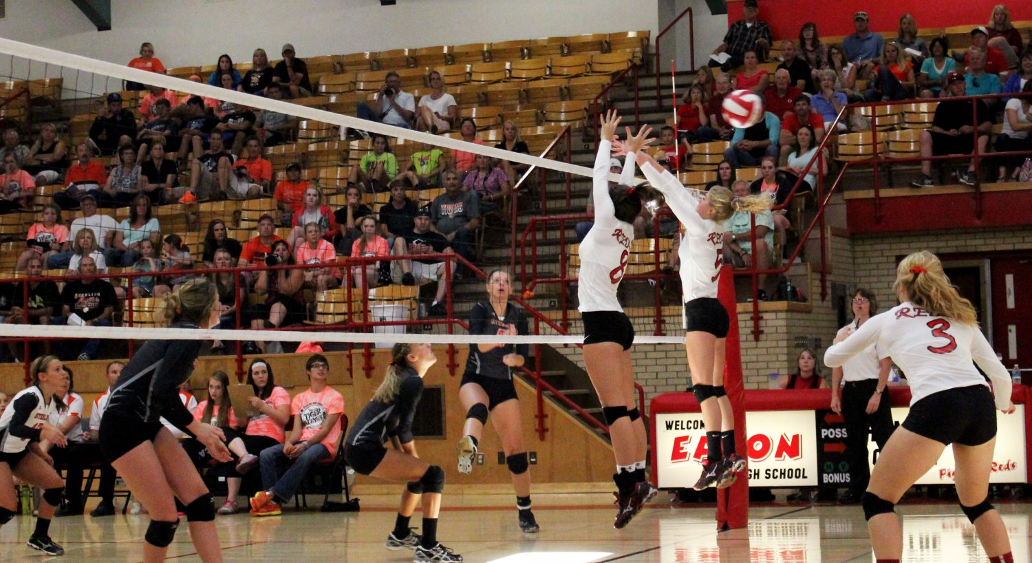Volleyball continues to roll through the season