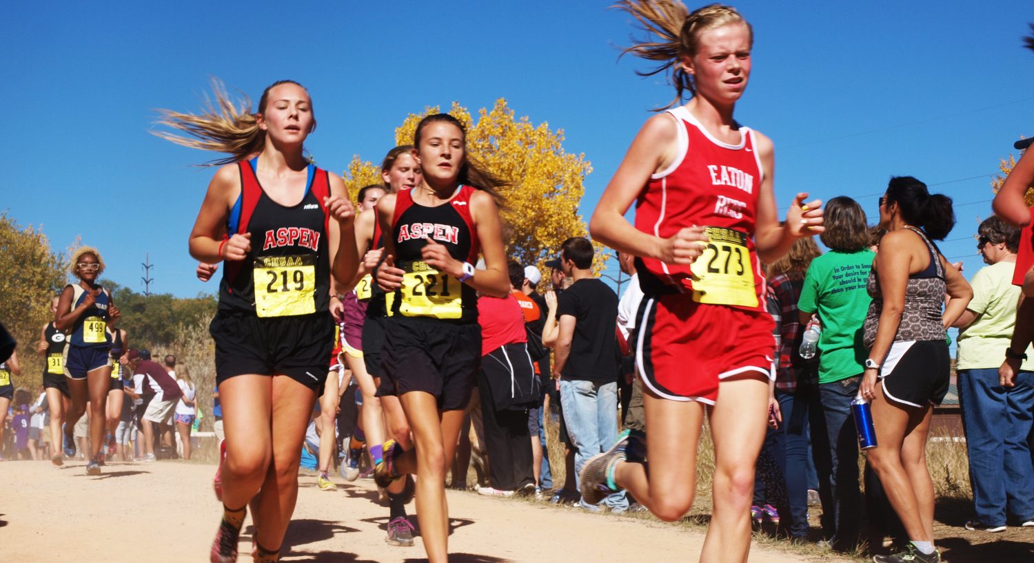 Cross Country Makes Big Improvement at State