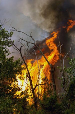 Fires rage through Colorado