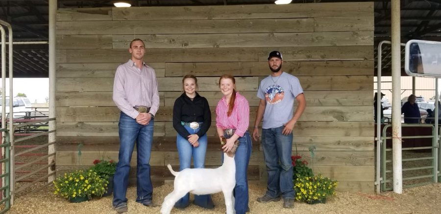 Students learn life lessons over summer through 4-H and FFA