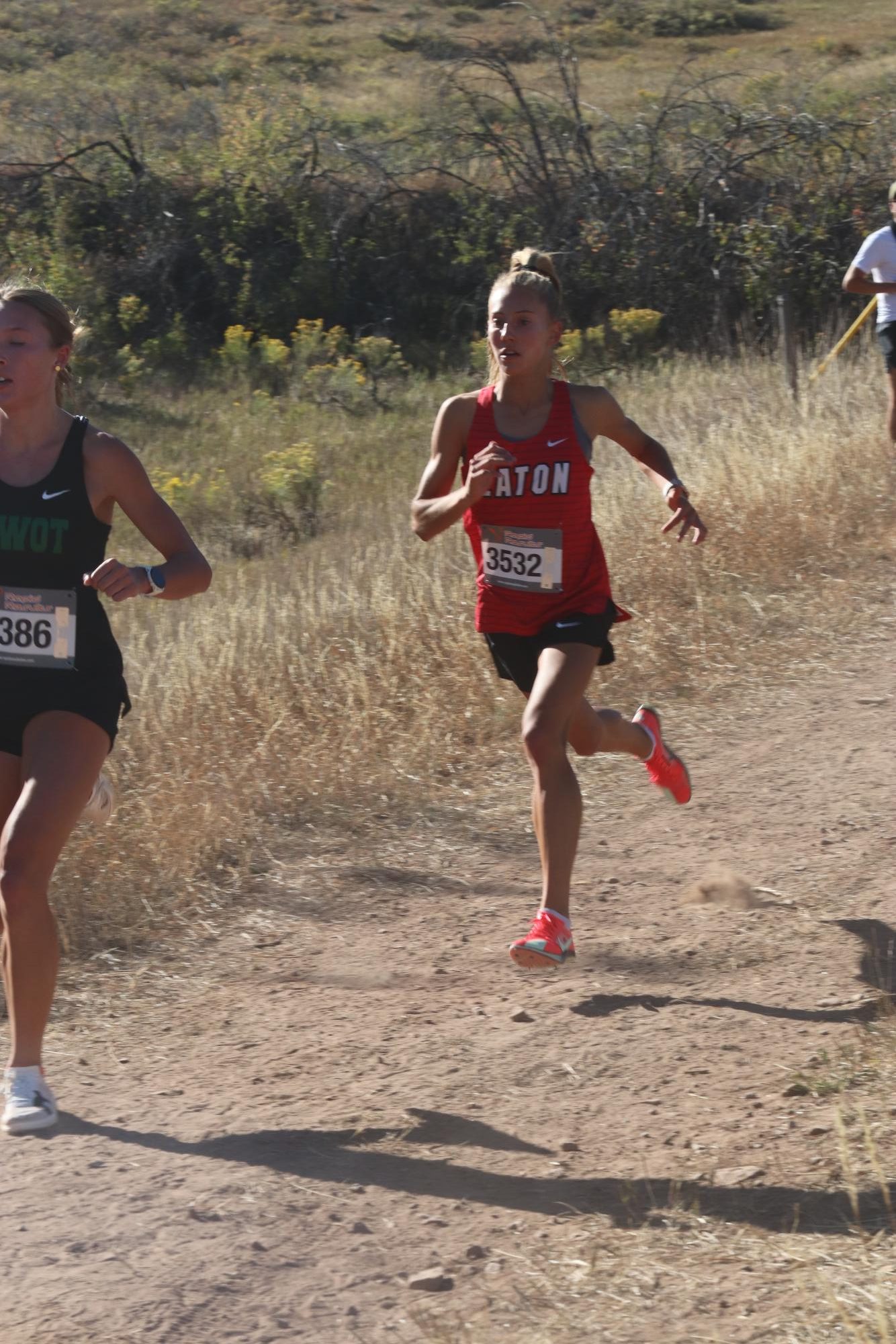 Eaton Cross Country at Lions Meet