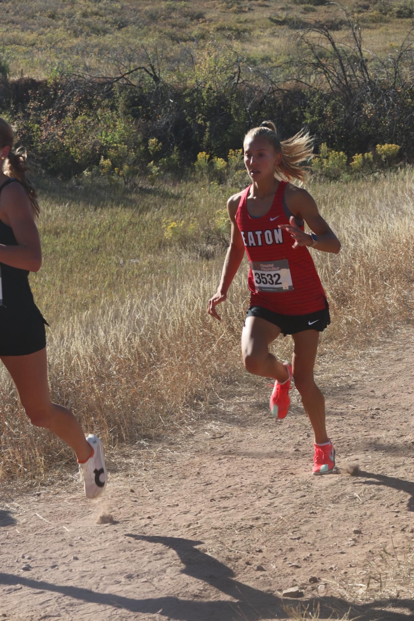 Eaton Cross Country at Lions Meet