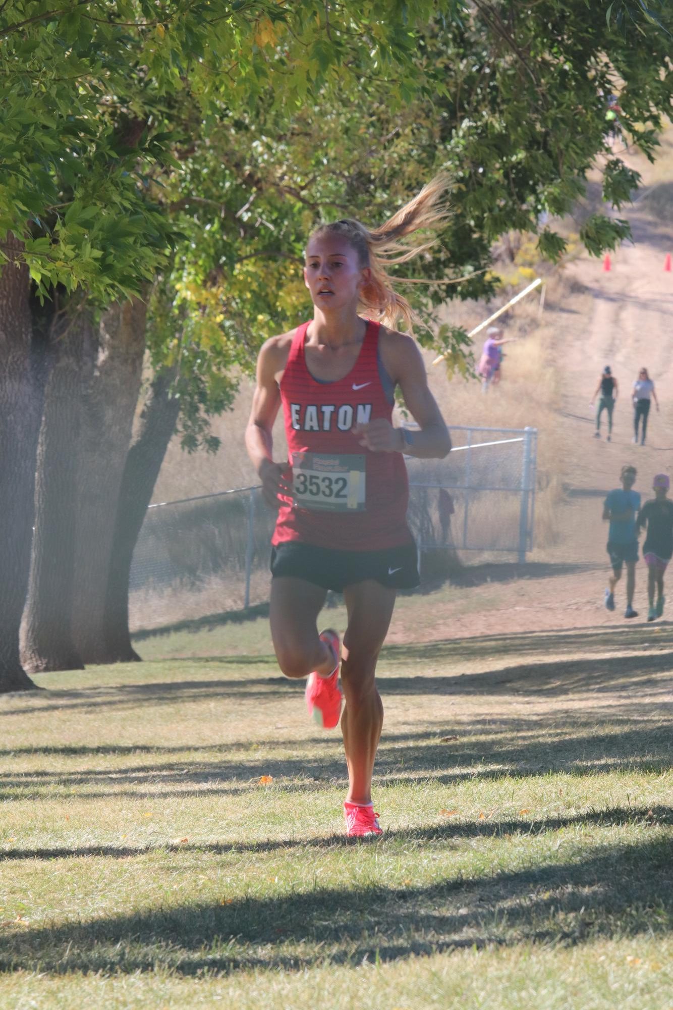 Eaton Cross Country at Lions Meet