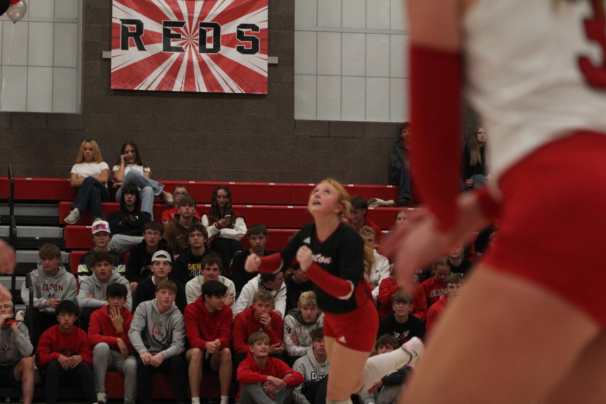 Eaton High School volleyball senior night photos