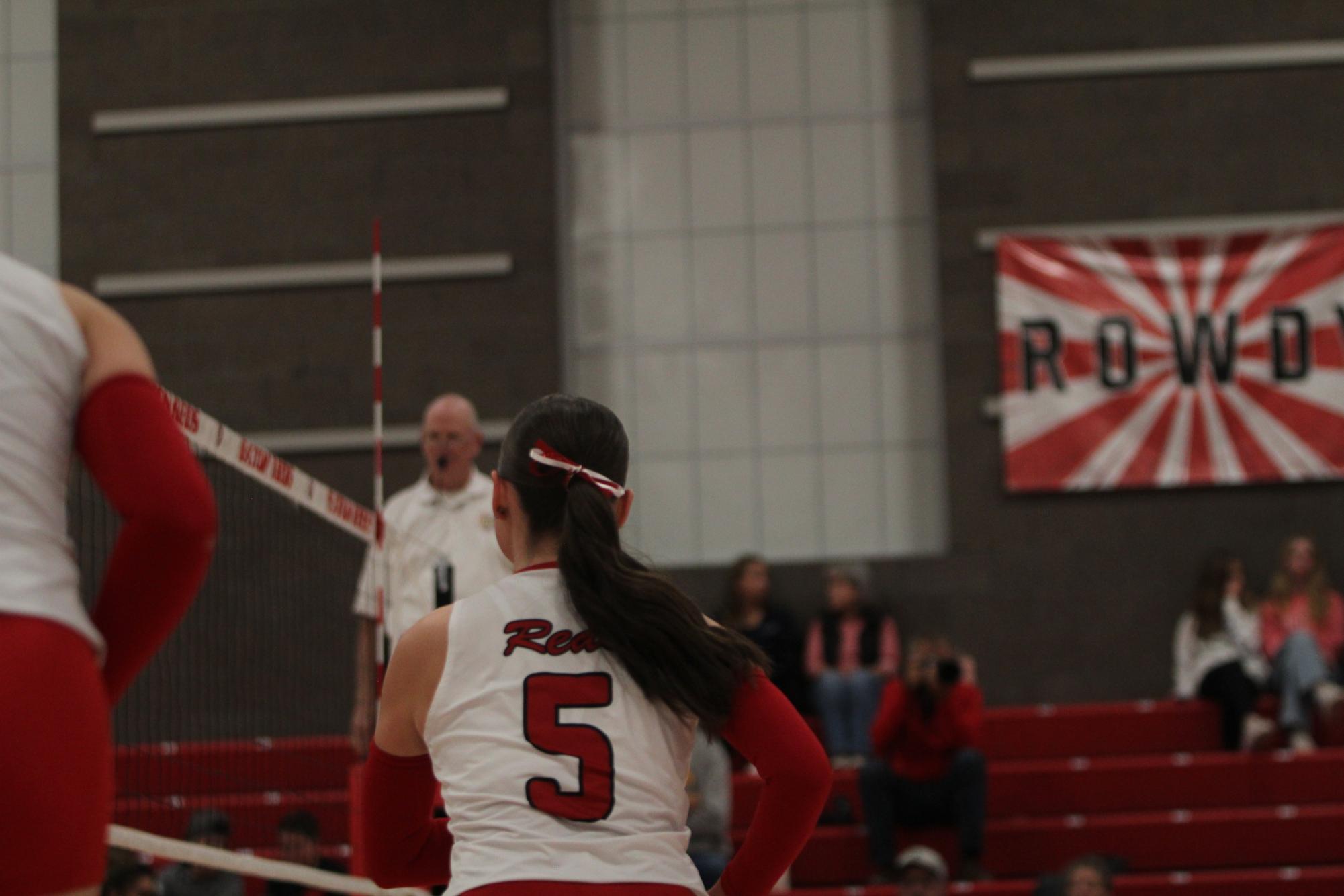 Eaton High School volleyball senior night photos