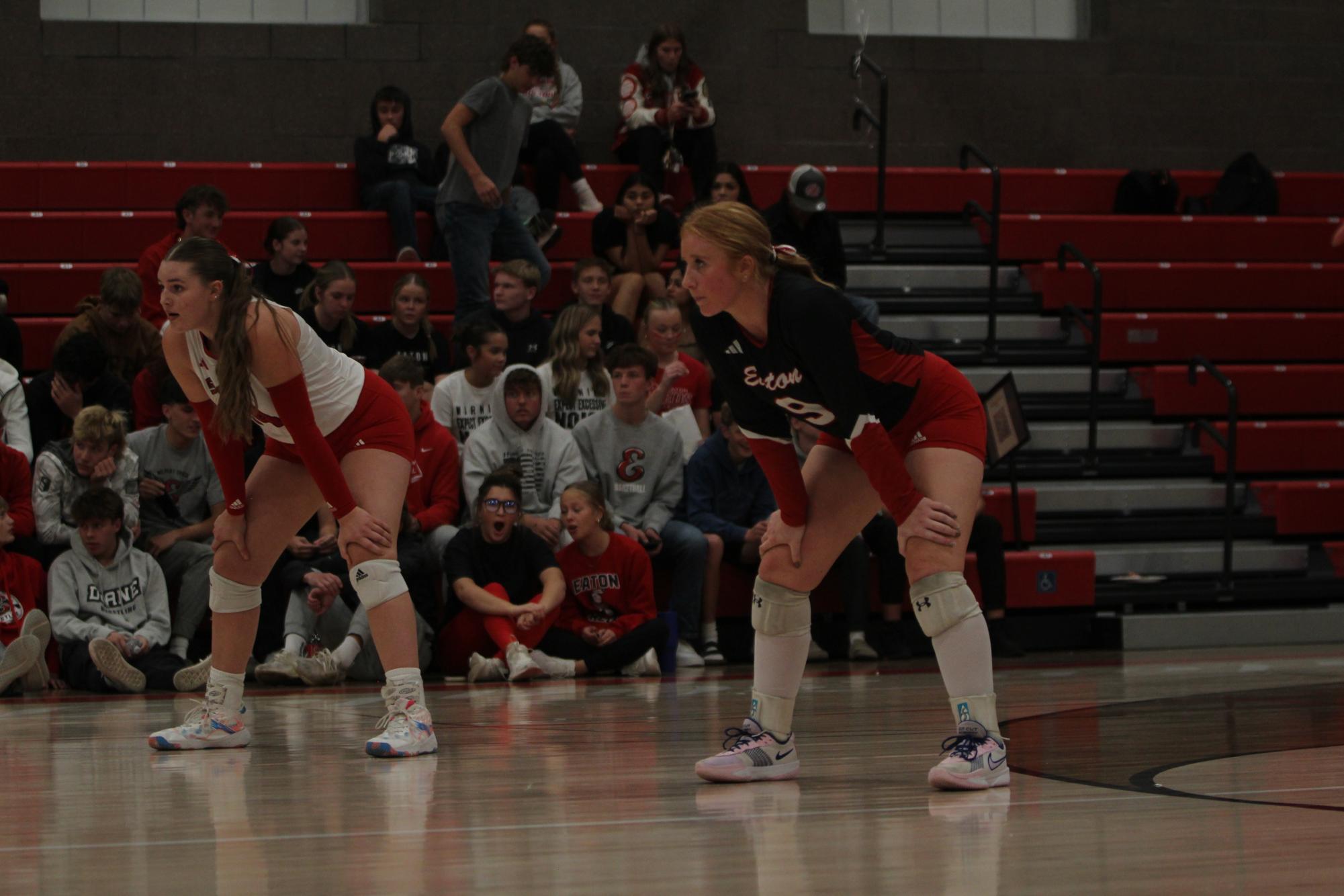 Eaton High School volleyball senior night photos