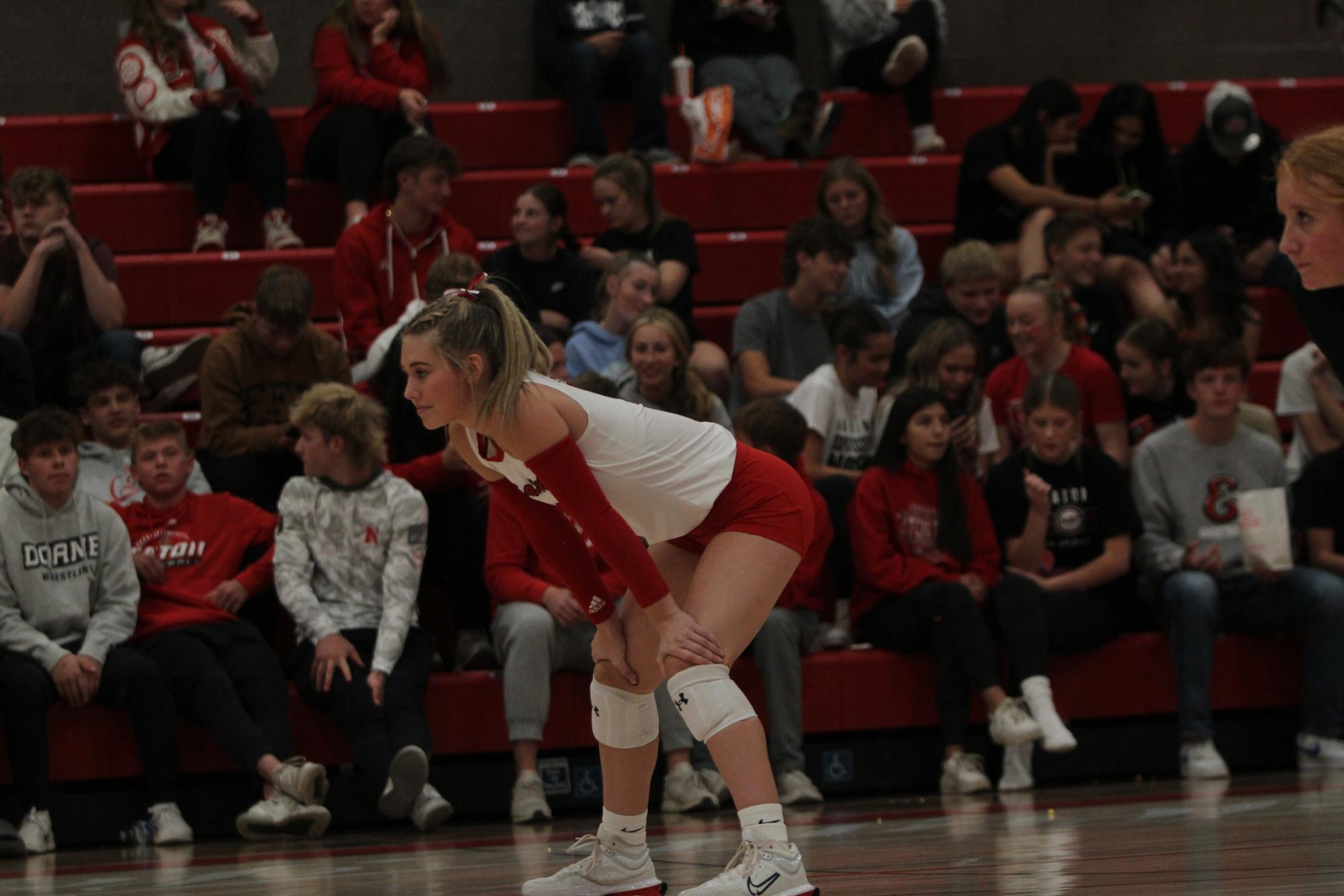 Eaton High School volleyball senior night photos