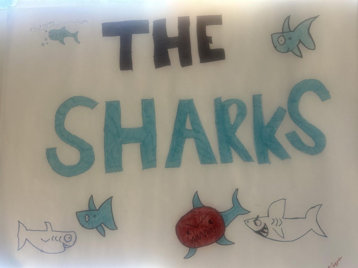 EHS Students Pitch to Sharks 