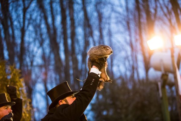 Groundhog Day versus reality in the U.S.